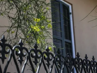 La Vie New Orleans Private Tours