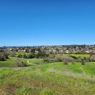 Keep your dog on its leash