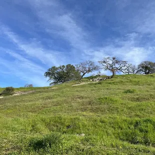 Cool bench at the top