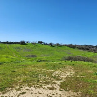 We really enjoyed the park but parking is awful