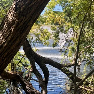 04/26/2020: Another angle of the water fountain