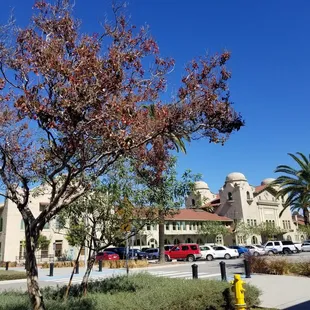 Sharing the park lot with the Metrolink station