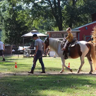 Pony ride for $5