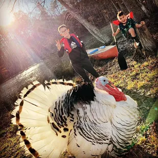 Snoopy the friendly farm turkey.