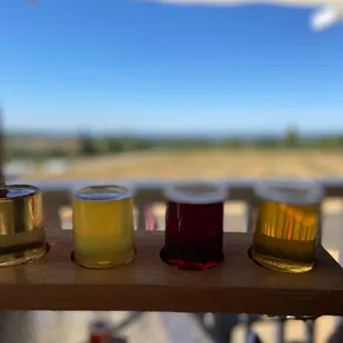 Cider tasting