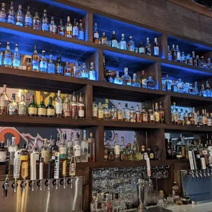 shelves of liquor bottles