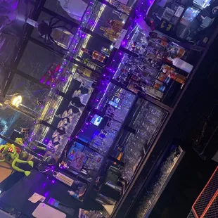 a bar with purple lighting