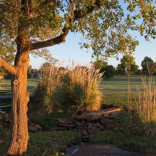 We pride ourselves on our landscaping