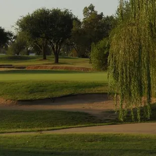 Beautiful willows are featured on several holes