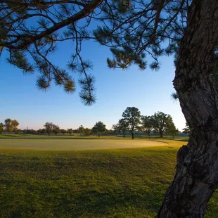 Sunrise on the green