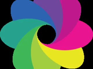 Transitions Estate Sales