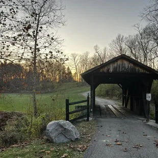 Just down the path out back