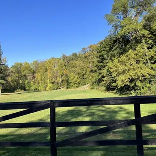 Potential wedding spot