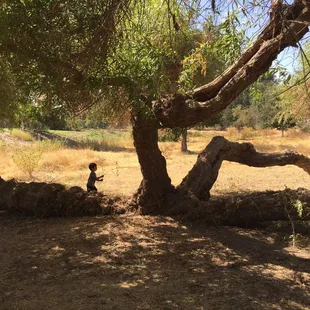 A little boys paradise!