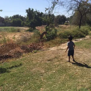 Exploring around the embankment - "looking for treasure!" He says