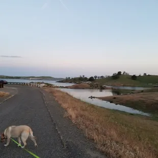 Lake is getting full