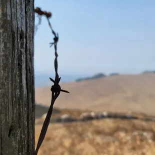 Picture taken 8/21/2020