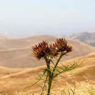 Photo taken on 6/15/2018