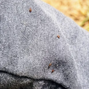 Photo taken on 6/15/2018