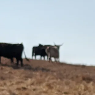 Photo taken 10/29/2019