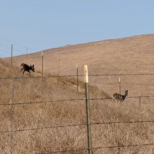 Photo taken 10/29/2019