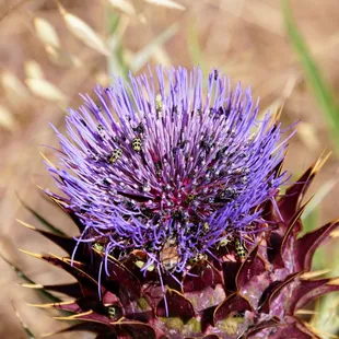 Photo taken on 6/15/2018