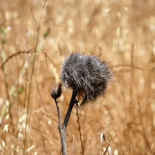 Photo taken on 6/15/2018