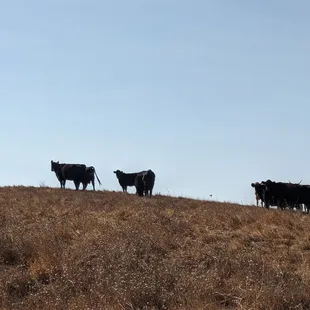 Photo taken 10/29/2019