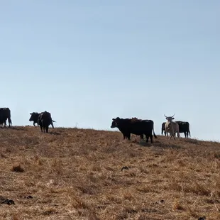 Photo taken 10/29/2019