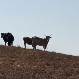 Photo taken 10/29/2019