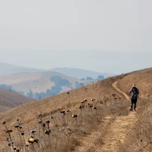 Picture taken 8/21/2020