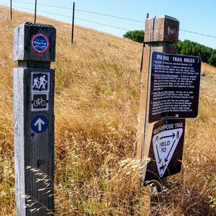 Photo taken on 6/15/2018