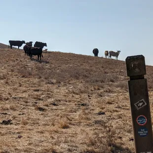 Photo taken 10/29/2019