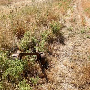 Photo taken on 6/15/2018