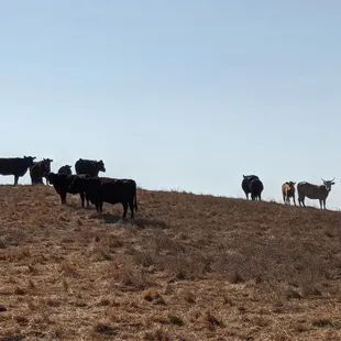 Photo taken 10/29/2019