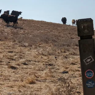 Photo taken 10/29/2019