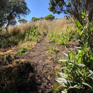 Photo taken on 6/12/2018