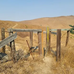 Picture taken 8/21/2020