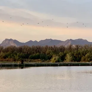 Southern persepctive