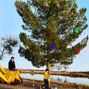 West Texas Christmas Tree. HideAway Lakes, Texas