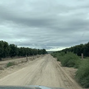 Dirt road (this is us leaving)