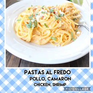 pastas all redo poloo, camaron, chicken shrimp