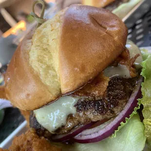 a burger and onion rings