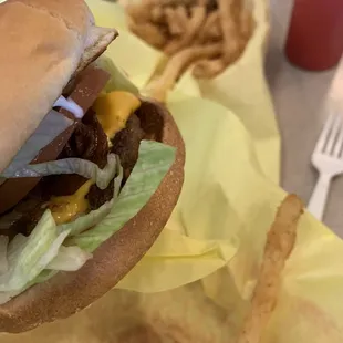 Burger and chicken fried  fries