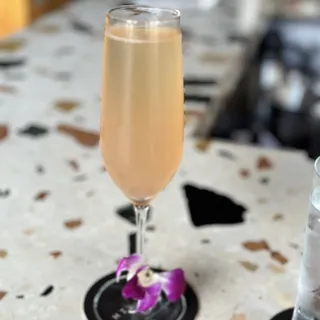 Laylow Mimosa