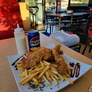 The Chicken Strips with Fries.