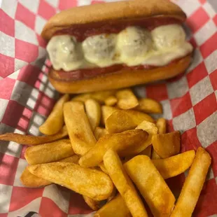 a hot dog and french fries