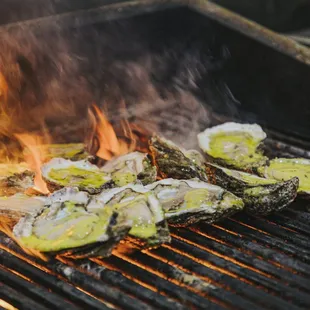 oysters on the grill