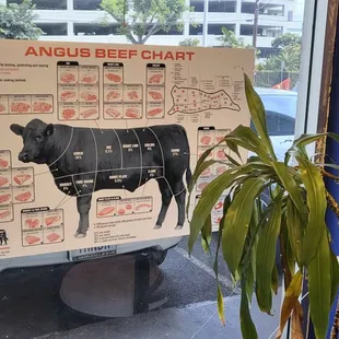 a diagram of a cow