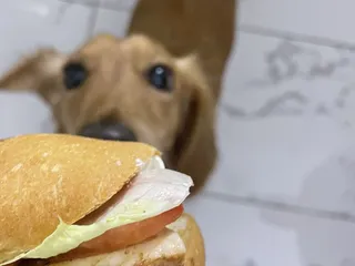 Honey Glazed Hams Of Hawaii